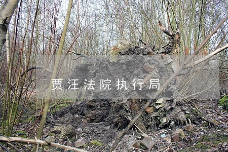 贾汪法院执行局