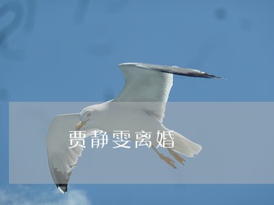 贾静雯离婚 贾静雯离婚