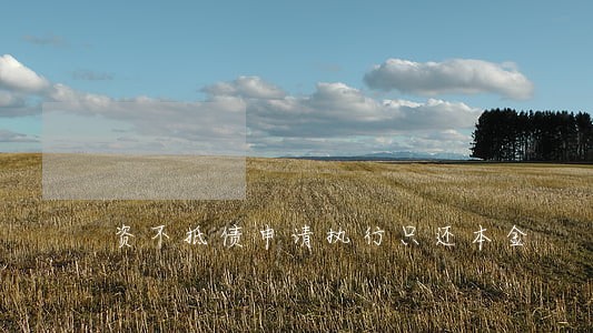 资不抵债申请执行只还本金