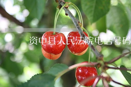 资中县人民法院电话号码 资中县人民法院电话号码