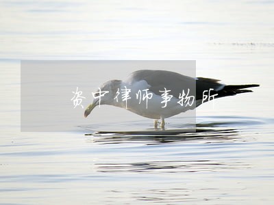 资中律师事物所 资中律师事物所