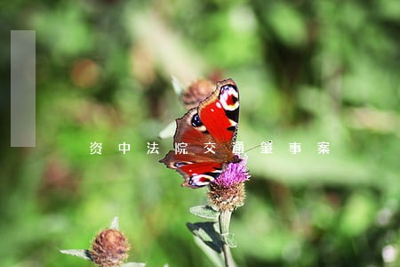 资中法院交通肇事案 资中法院交通肇事案