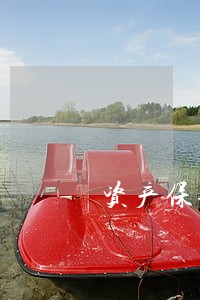 资产保全条例作内部结案处理 资产保全条例作内部结案处理
