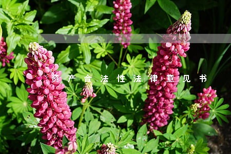 资产合法性法律意见书 资产合法性法律意见书