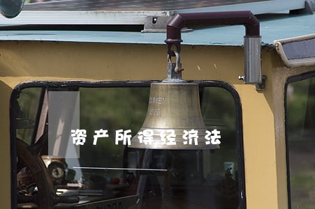 资产所得经济法 资产所得经济法