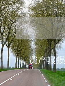 资产报损法规 资产报损法规