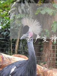 资产支持证券法规 资产支持证券法规