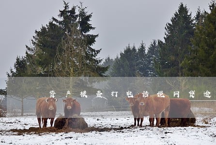 资产核查打电话说网贷逾期 资产核查打电话说网贷逾期