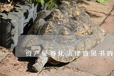 资产证券化法律意见书的规定 资产证券化法律意见书的规定