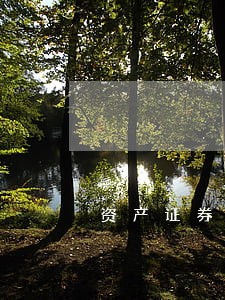 资产证券化法律法规框架 资产证券化法律法规框架