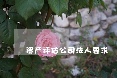 资产评估公司法人要求 资产评估公司法人要求