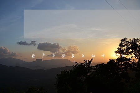 资产负债表日的诉讼事项
