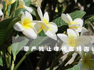 资产转让律师在线咨询
