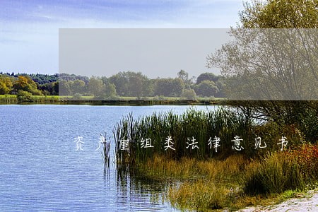 资产重组类法律意见书