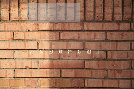 资全困难贷款逾期 资全困难贷款逾期