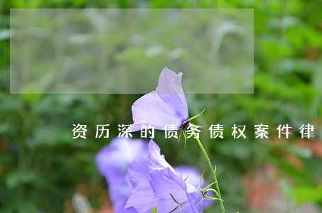 资历深的债务债权案件律师 资历深的债务债权案件律师