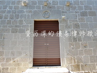 资历深的债务律师顾问