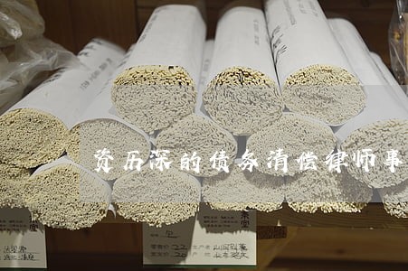 资历深的债务清偿律师事务所