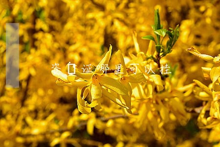 资挌证哪里可以挂 资挌证哪里可以挂