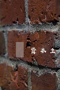资本主义国家的法院是做什么的