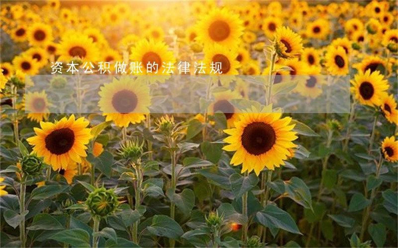 资本公积做账的法律法规
