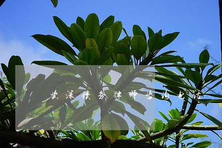 资深债务律师咨询电话