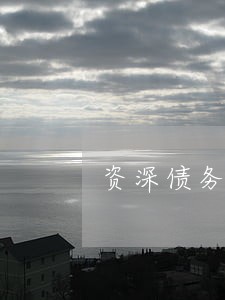 资深债务律师收费