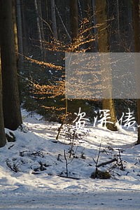 资深债务纠纷律师咨询 资深债务纠纷律师咨询