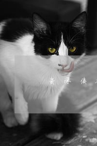 资深债务追讨律师咨询问题 资深债务追讨律师咨询问题