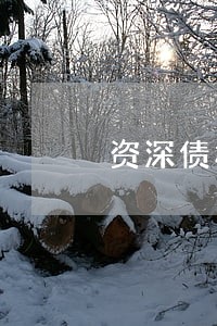 资深债权债务纠纷律师费用 资深债权债务纠纷律师费用