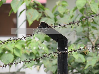 资深刑事犯罪律师收费标准 资深刑事犯罪律师收费标准