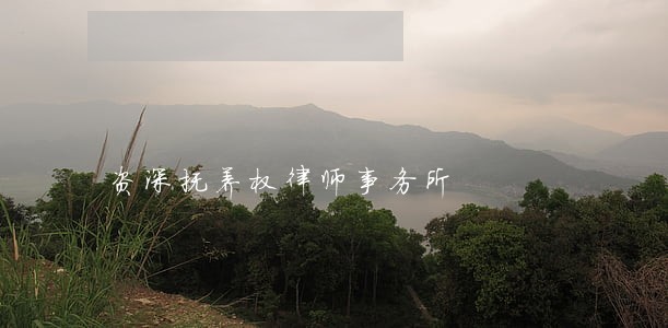 资深抚养权律师事务所 资深抚养权律师事务所