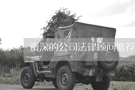 资深的公司法律顾问推荐 资深的公司法律顾问推荐