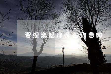 资深离婚律师咨询费用 资深离婚律师咨询费用
