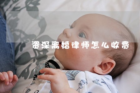 资深离婚律师怎么收费 资深离婚律师怎么收费