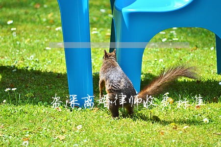 资深离婚律师收费标准