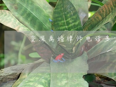 资深离婚律师电话多少 资深离婚律师电话多少