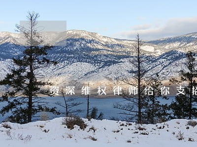 资深维权律师给你支招 资深维权律师给你支招