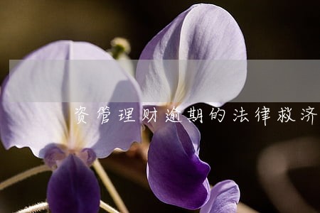 资管理财逾期的法律救济 资管理财逾期的法律救济