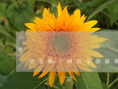 资金断了网贷全部逾期 资金断了网贷全部逾期