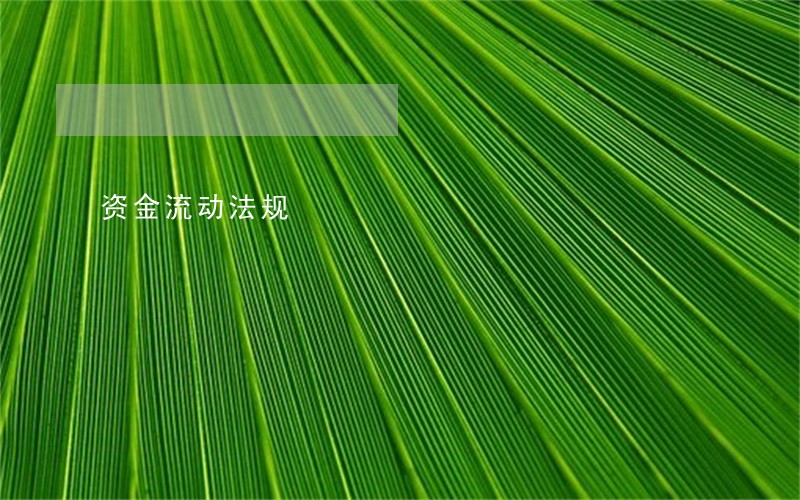 资金流动法规