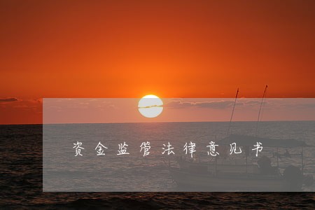 资金监管法律意见书 资金监管法律意见书