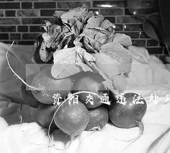 资阳交通违法处理网点 资阳交通违法处理网点