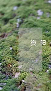 资阳信用卡逾期债务重组怎么协商 资阳信用卡逾期债务重组怎么协商