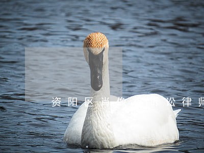资阳区肖像权诉讼律师 资阳区肖像权诉讼律师