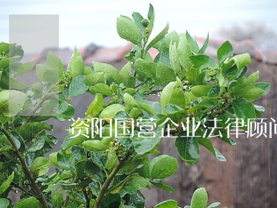 资阳国营企业法律顾问