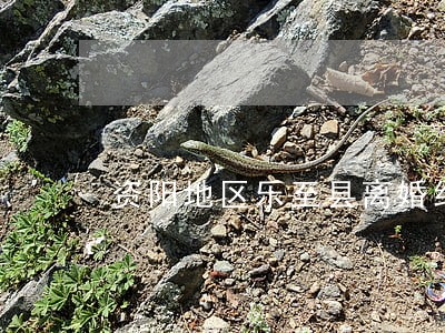 资阳地区乐至县离婚纠纷律师 资阳地区乐至县离婚纠纷律师