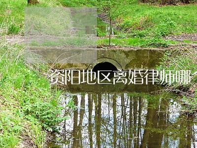 资阳地区离婚律师哪个好 资阳地区离婚律师哪个好