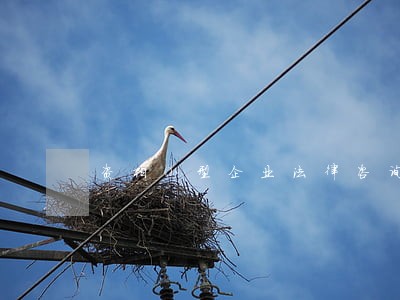 资阳小型企业法律咨询 资阳小型企业法律咨询