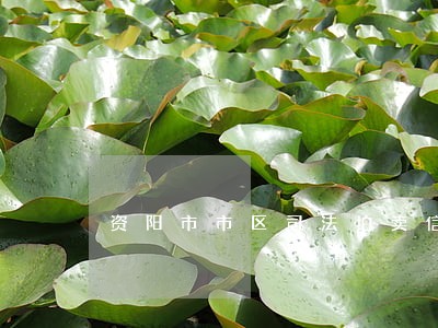 资阳市市区司法拍卖信息 资阳市市区司法拍卖信息